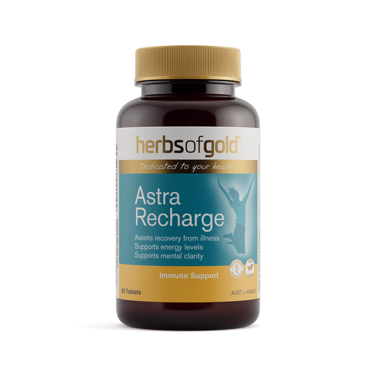 HOG ASTRA RECHARGE 30T
