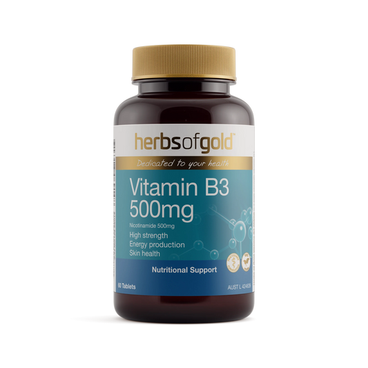 HOG VITAMIN B3 500MG 60T
