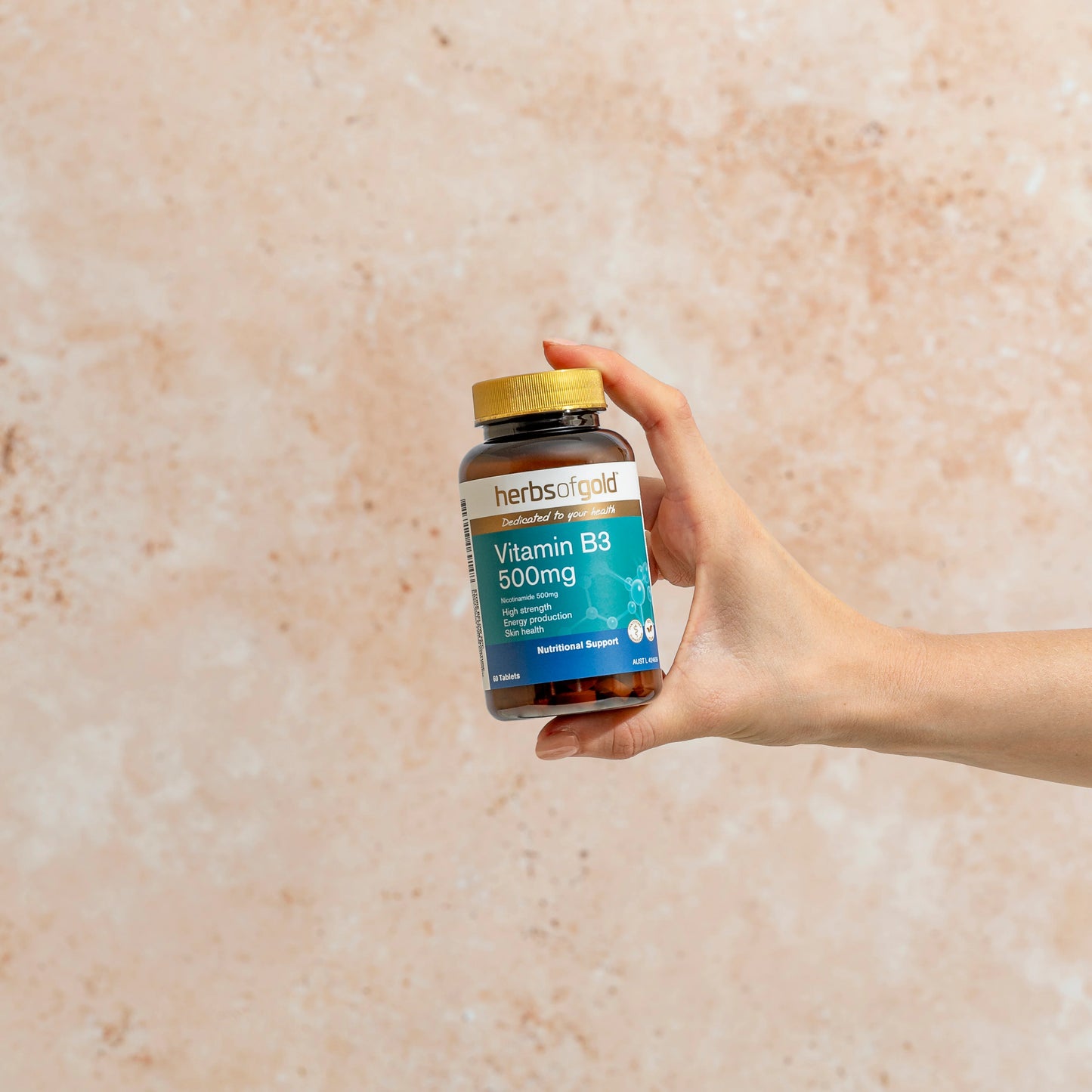 HOG VITAMIN B3 500MG 60T