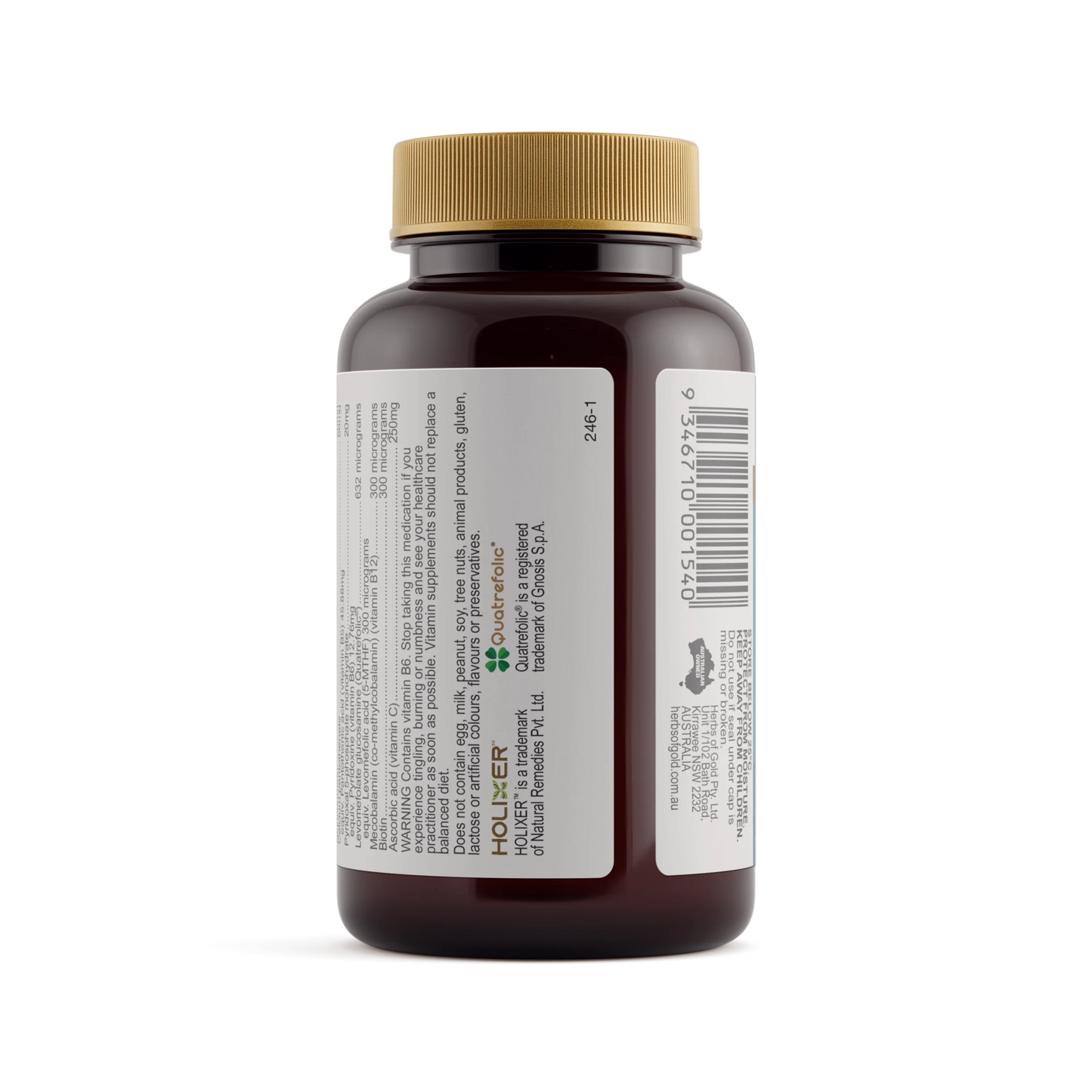 HOG ACTIVATED B STRESS