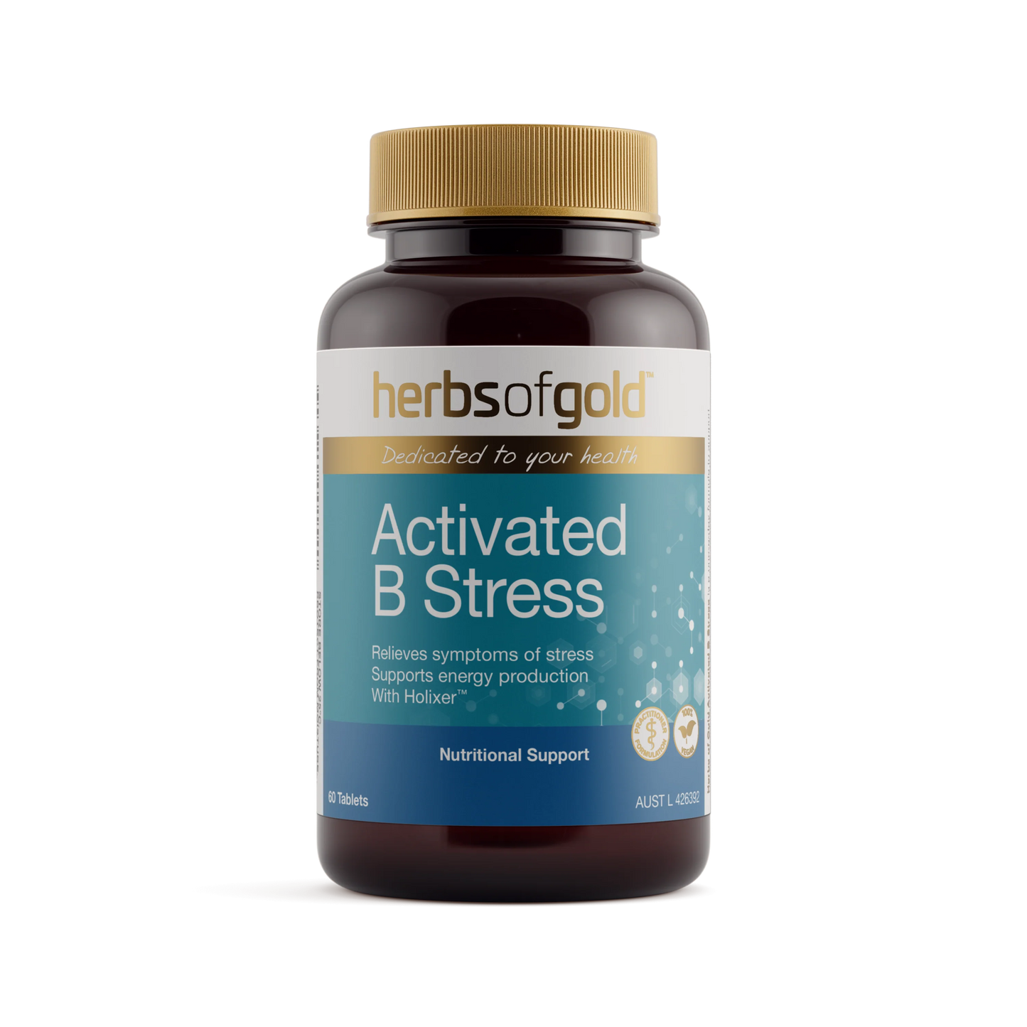 HOG ACTIVATED B STRESS
