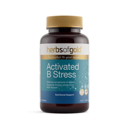 HOG ACTIVATED B STRESS