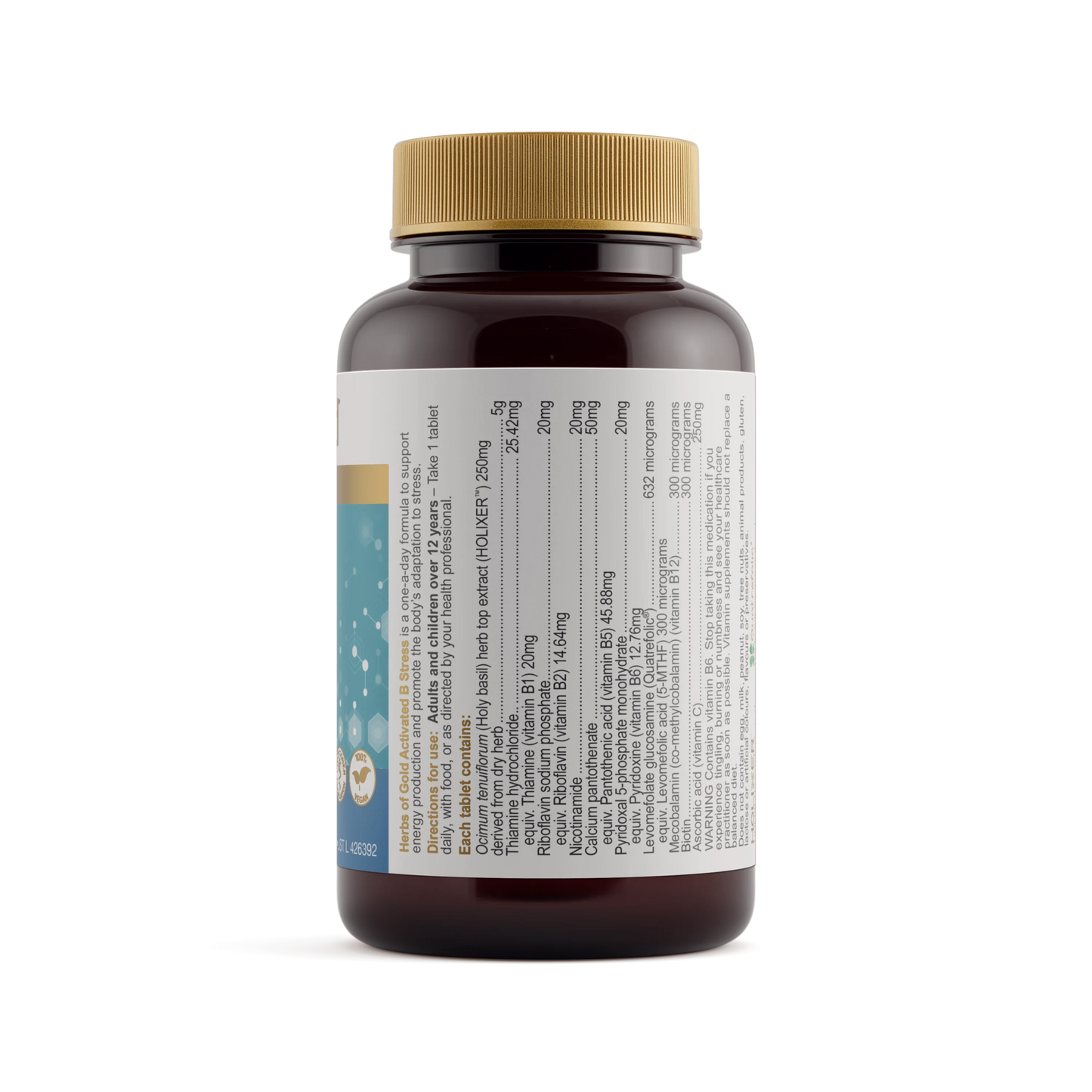 HOG ACTIVATED B STRESS